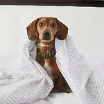 INNSiDE by Meliá Wolfsburg